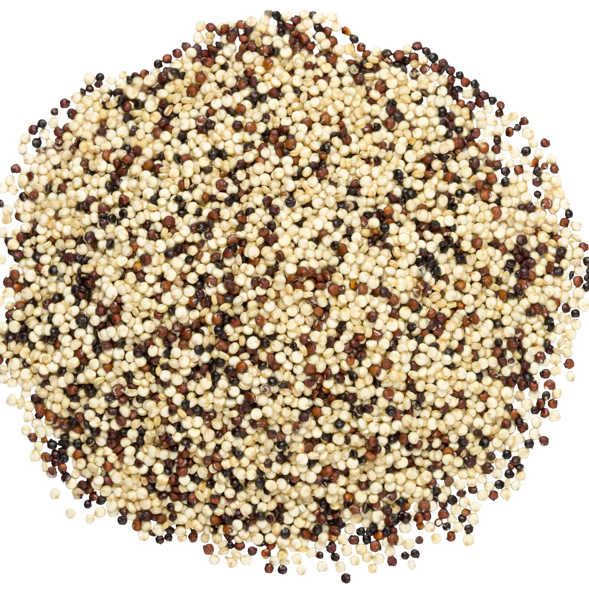 Tri-Color Quinoa - 25 LB